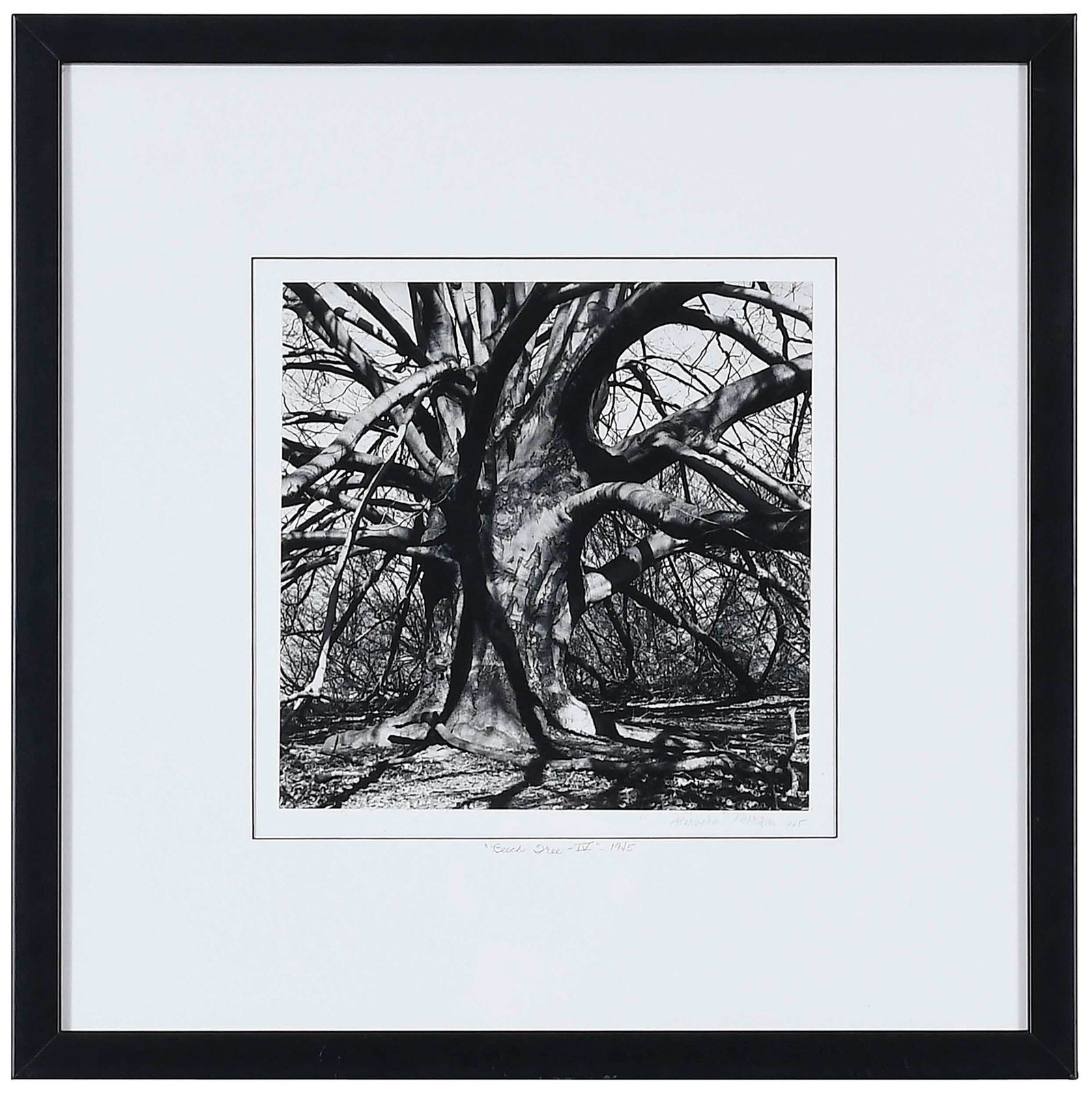 Barbara Morgan (1 of 5)