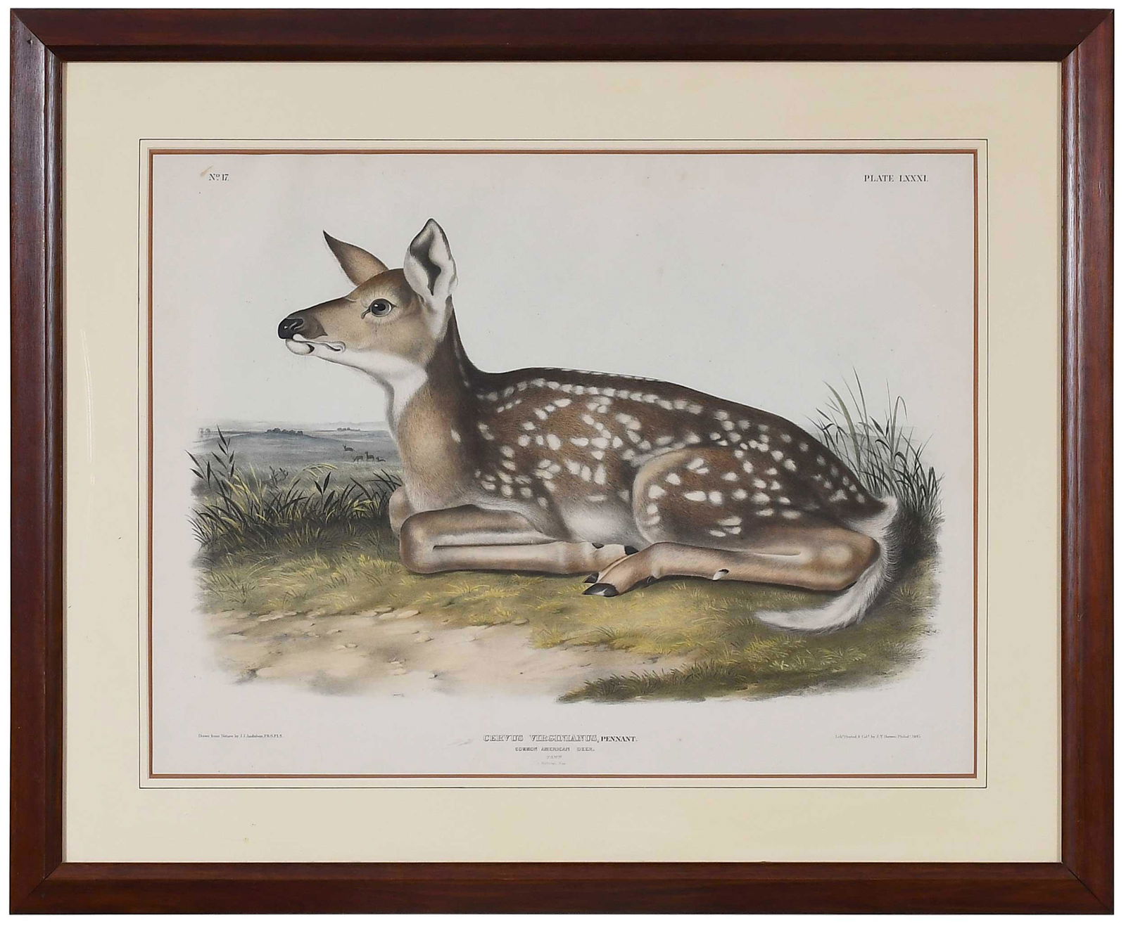 John James Audubon (1 of 11)