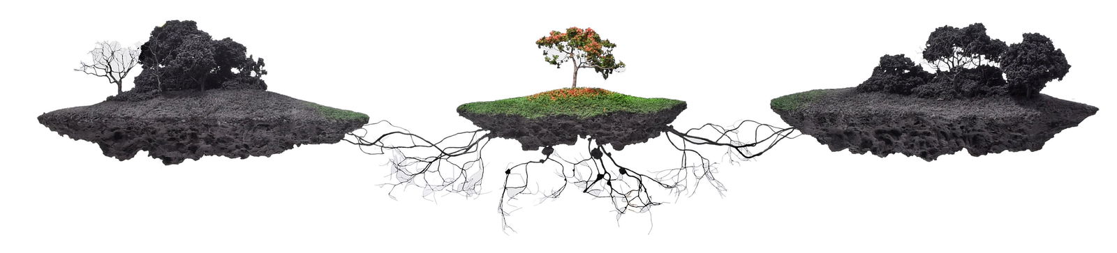 Jorge Mayet (1 of 16)