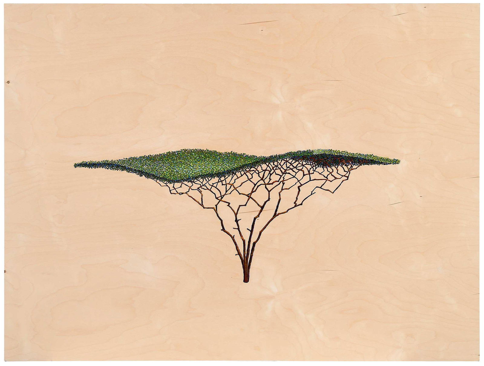 David Lefkowitz (1 of 7)