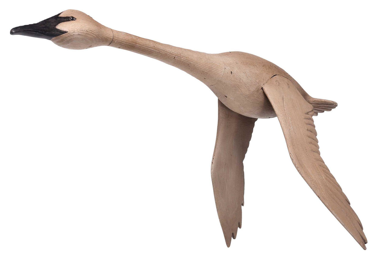 Carved and Painted Trumpeter Swan Model: American, incised signature "Langan" on underside (probably Thomas Langan, b. 1942), carved swan in flight, cream and black paint, 16 x 14-1/2 x 37 in. Provenance: Collection of Jean and Jim Barrow