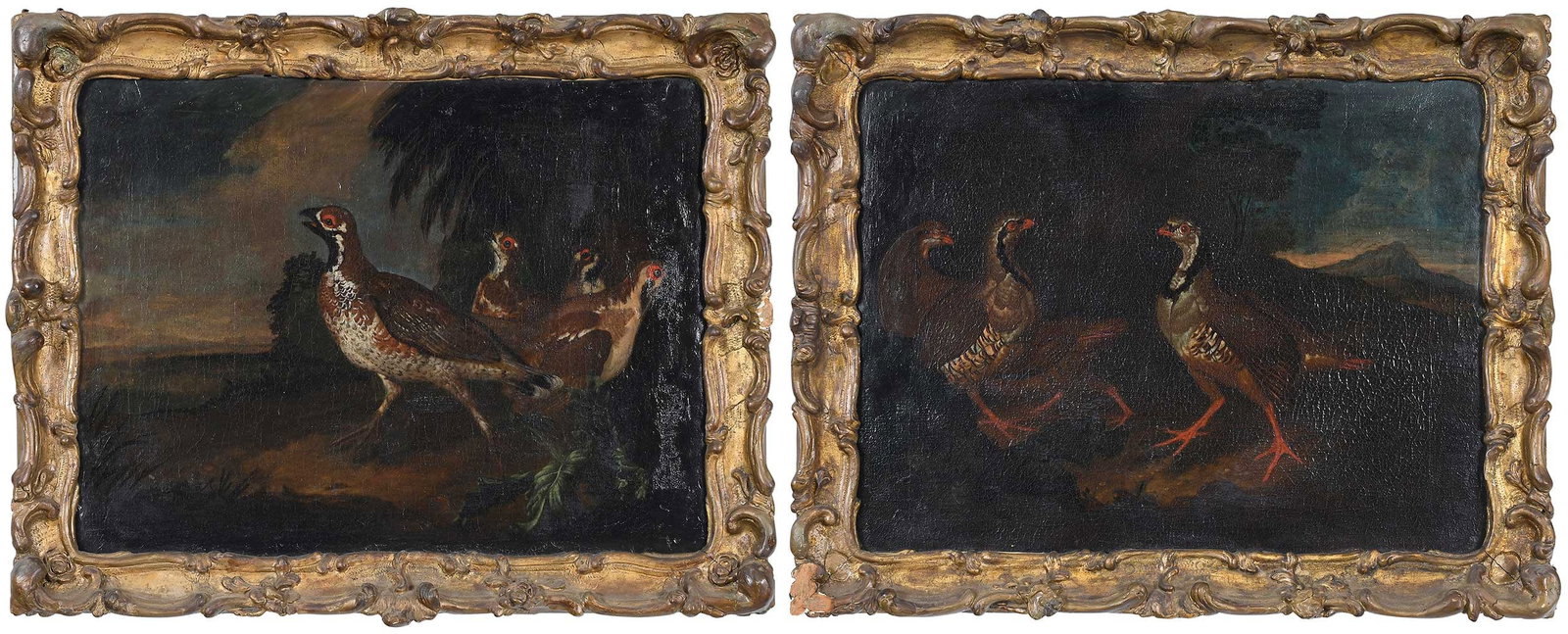 A Pair of Italian School Game Bird Paintings: (18th century) Red-legged Partridges, oil on canvas, 13-1/2 x 17-7/8 in.; matching gilt wood Italian Rococo frames, 16-5/8 x 21 in.