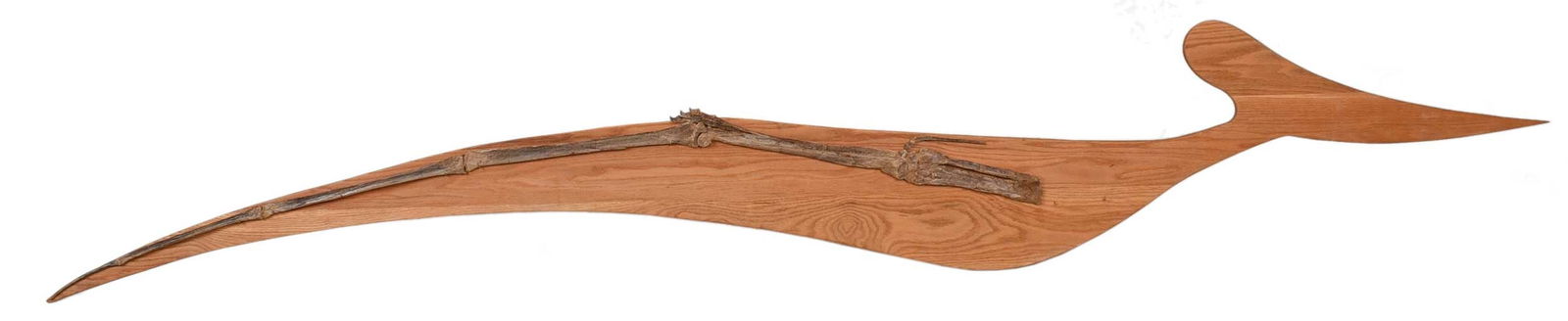 Fossilized Pteranodon Wing: circa 66-201 million years old, fossil with wooden mount, 18-1/2 x 133-1/2 in. (47 x 339.1 cm) Provenance: Phillips Auction New York, June 8, 1996 (lot 472) Niobrara Formation, Kansas; Private Collect