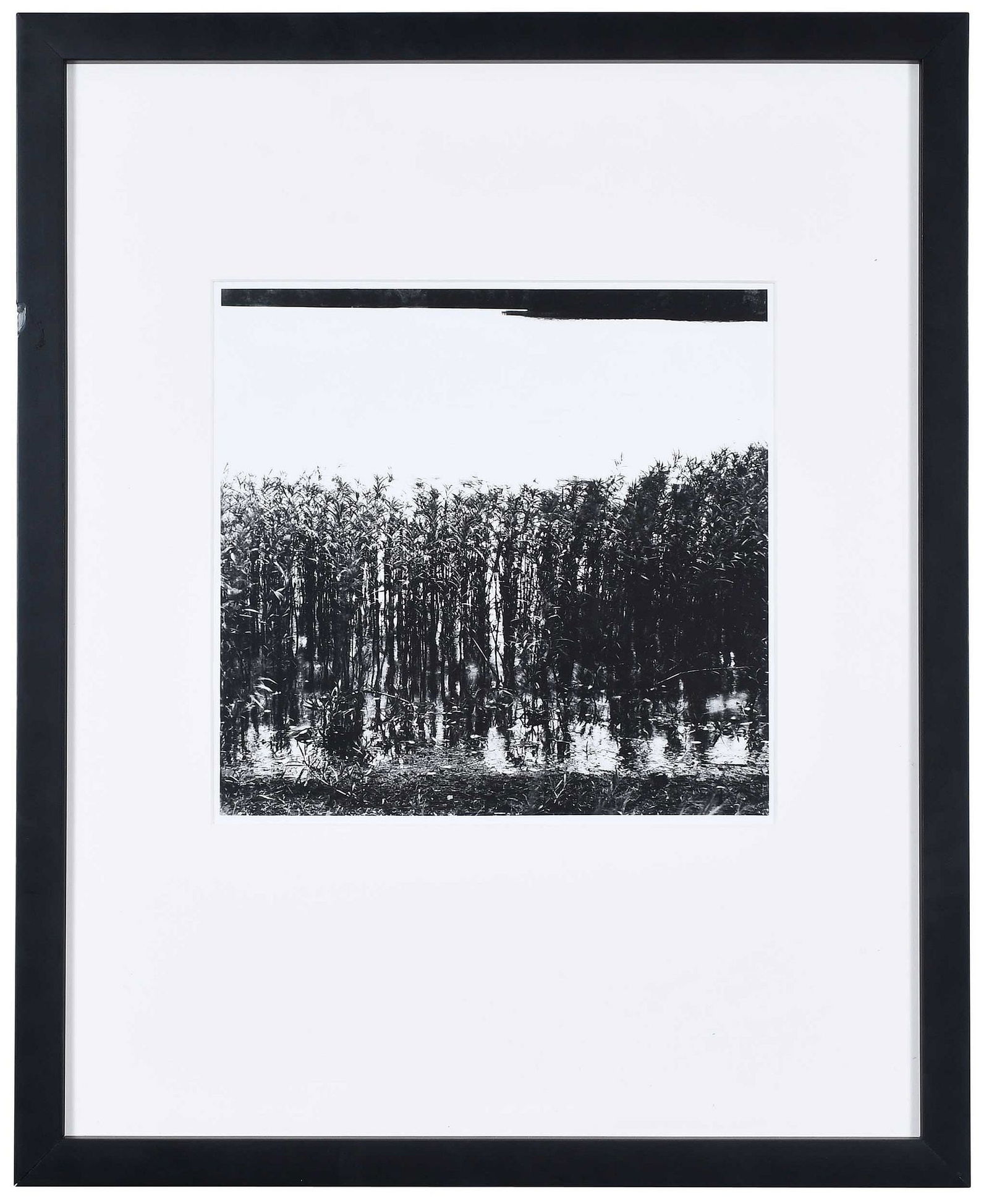 Ralph Eugene Meatyard: (American, 1925-1972) Grasses in Swamp, estate print, stamped print verso "One of two prints made from original negatives. Printed in December of 1977 for Madelyn Meatyard by John Deeks and James Bake