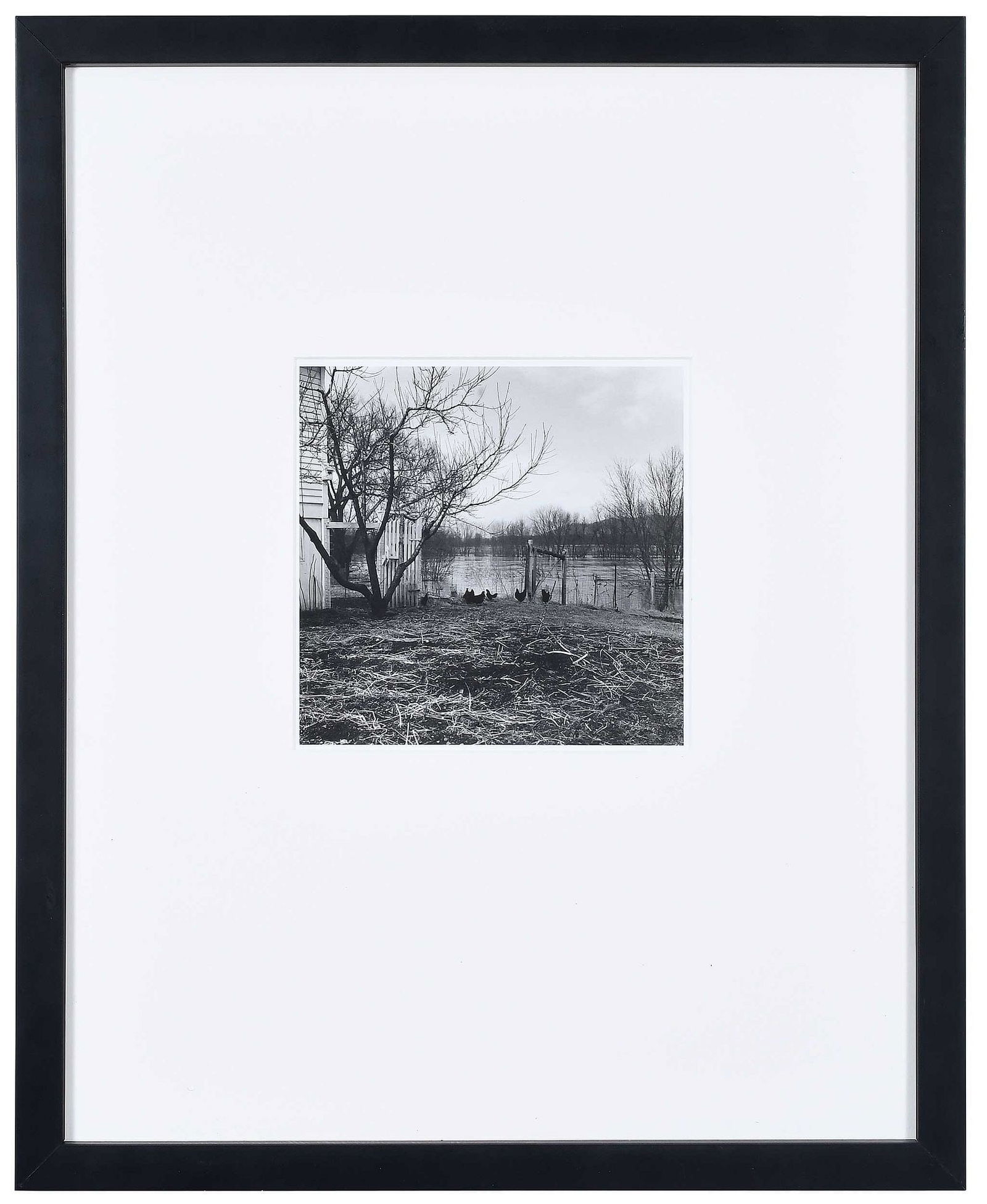 Ralph Eugene Meatyard: (American, 1925-1972) The Chicken Yard, estate print, stamped print verso "One of two prints made from original negatives. Printed in December of 1977 for Madelyn Meatyard by John Deeks and James Bake