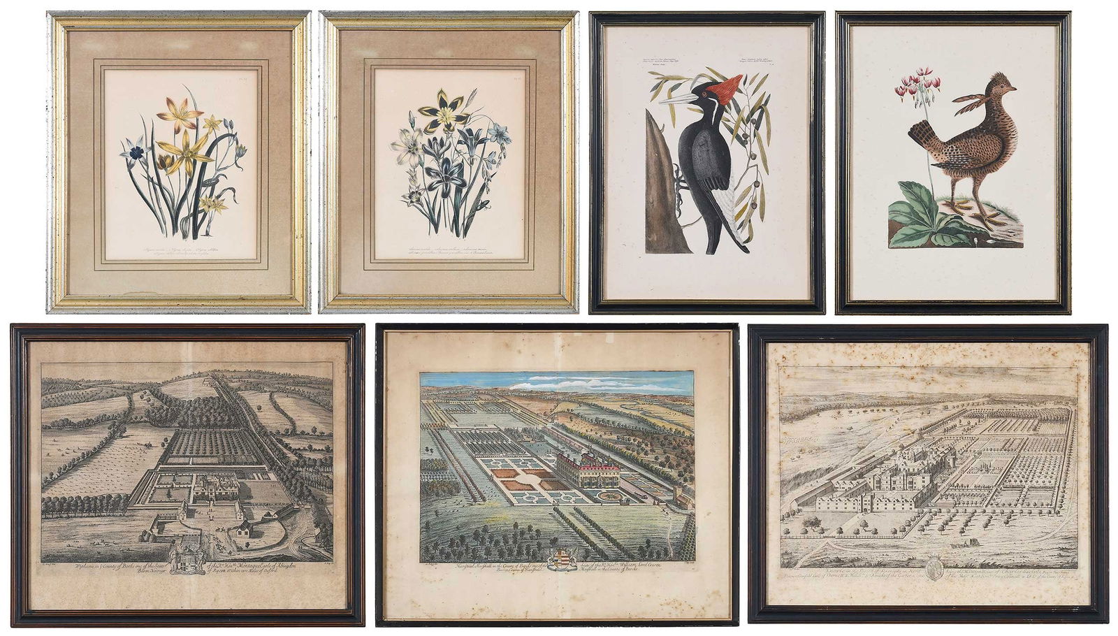 Miscellaneous Group of Seven Framed Prints, Gardens, Catesby (1 of 20)