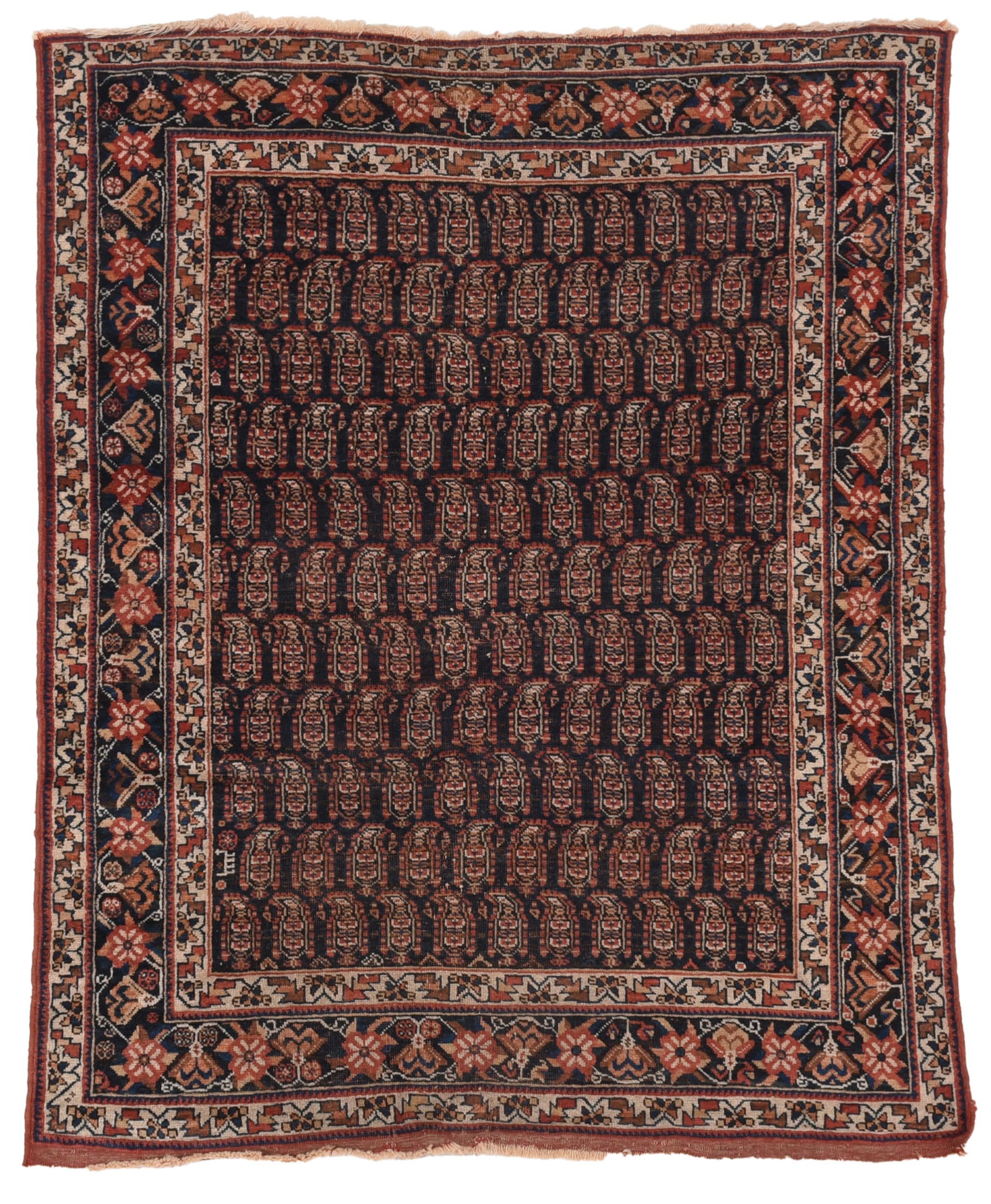 Afshar Rug (1 of 6)