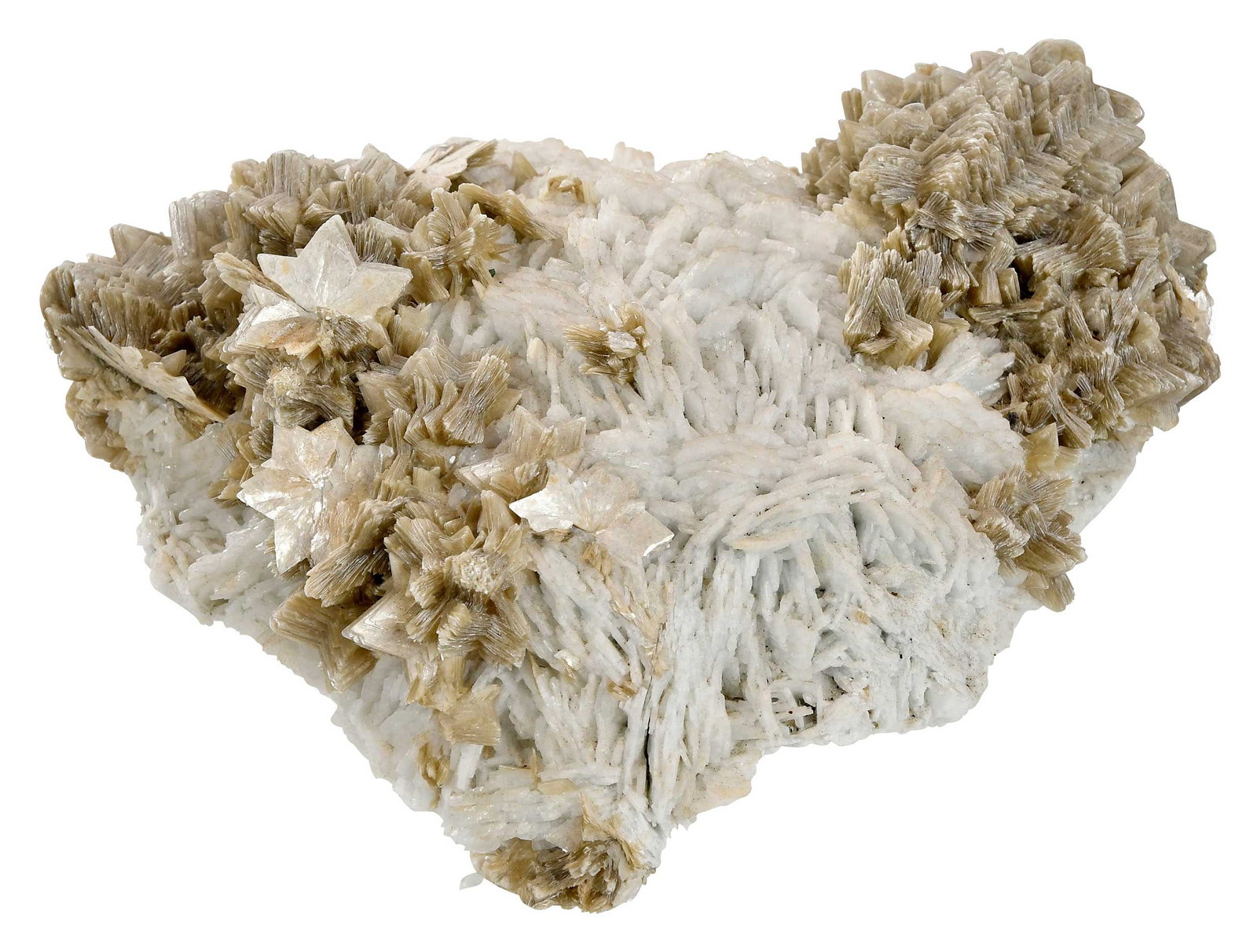 Star Muscovite Specimen: a good example of the delicate muscovite star crystal formation in multiple mounds on a matrix of barite shards, 3-3/4 x 8 x 7-3/4 in. 3.2 kg. Provenance: The Life Collection of Sara Graham Peacock