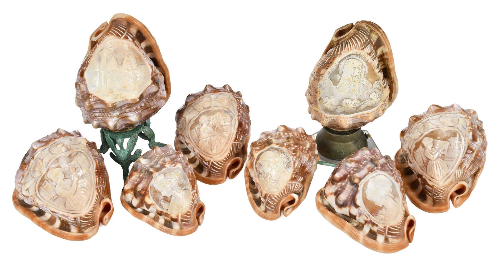 Eight Cameo Carved Shells (1 of 8)