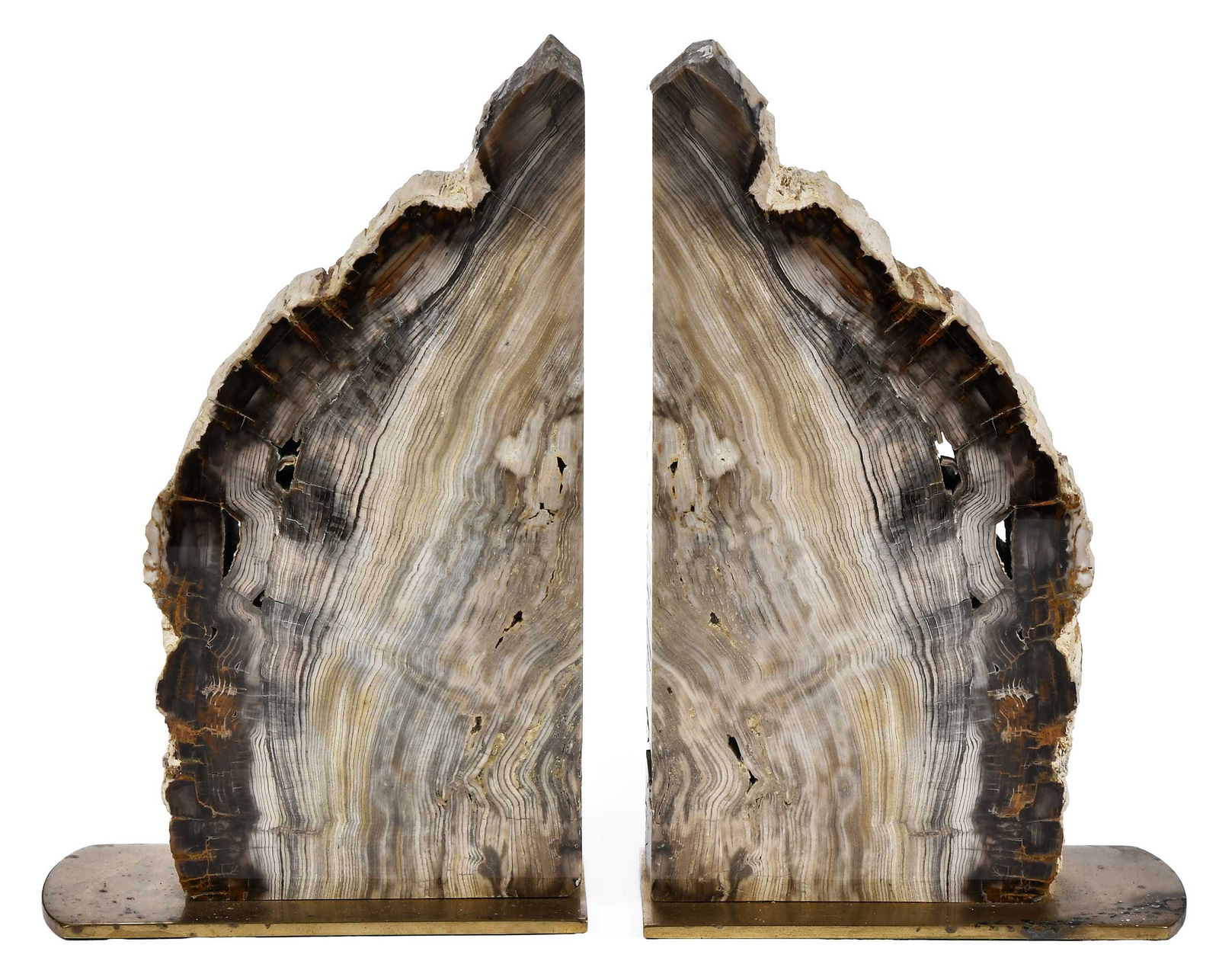 Pair of Petrified Wood Bookends (1 of 7)
