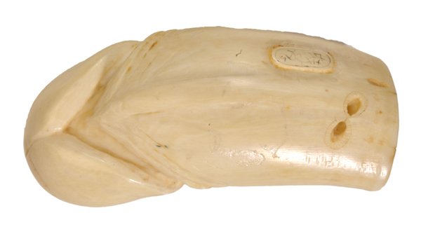Carved Ivory Netsuke: Japanese, 20th century, in the form of a phallus, carved fly on tip, signed on underside, 3-3/4 x 1-5/8 in., good condition Provenance: D616