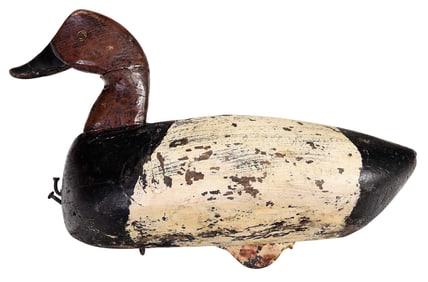 North Carolina Canvasback Drake