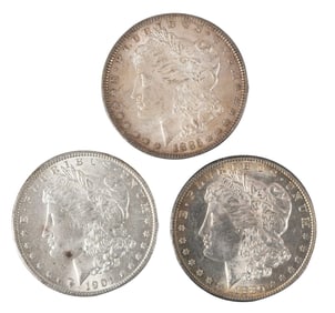 11 Morgan Silver Dollars