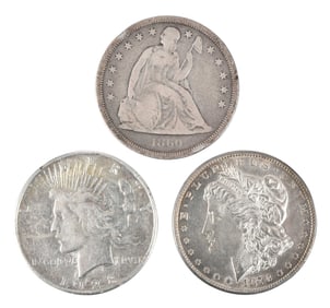 19 U.S. Silver Dollars
