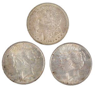 18 United States Silver Dollars