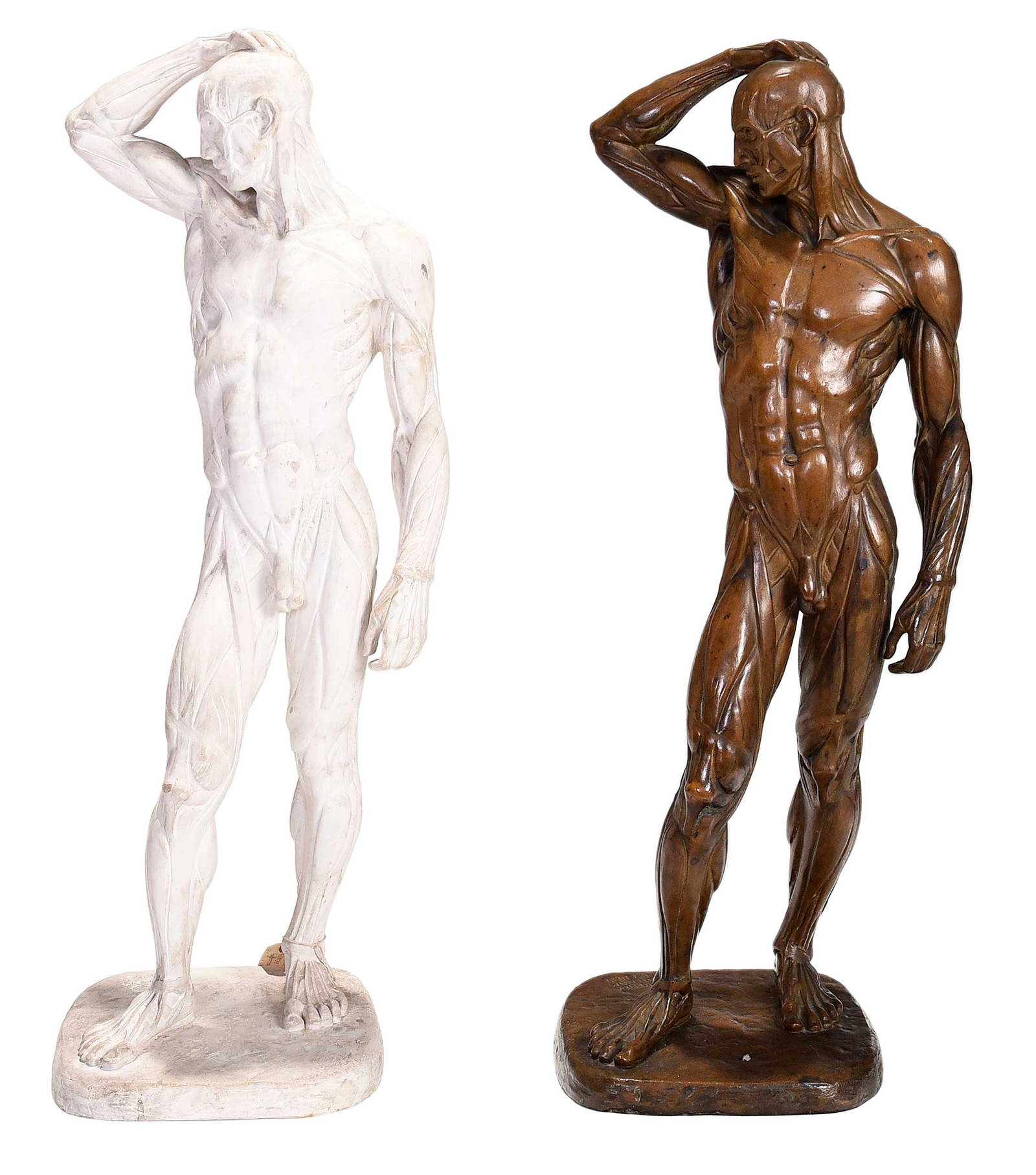 Brenda putnam bronze sculpture and plaster model ecorche auction