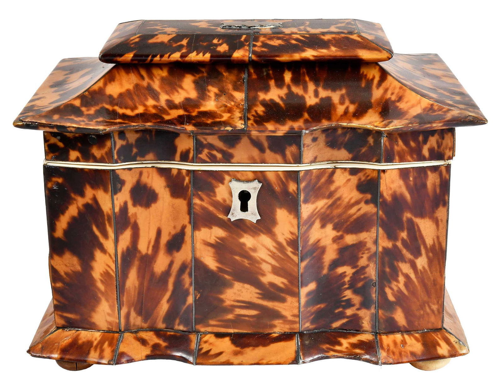 Regency Pagoda Form Tortoiseshell Tea Caddy (1 of 8)