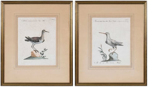 Saverio Manetti, Two Bird Engravings