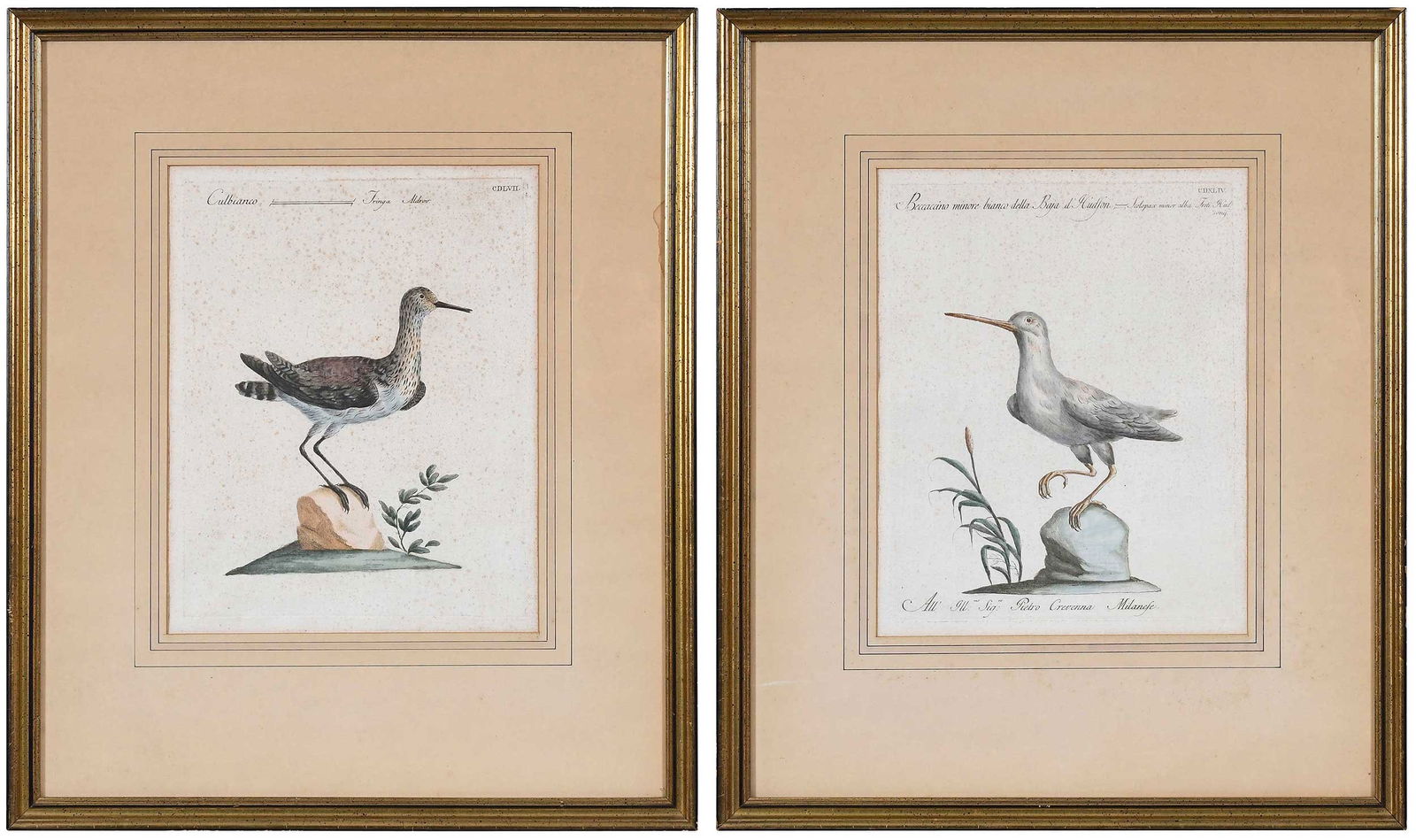 Saverio Manetti, Two Bird Engravings (1 of 10)