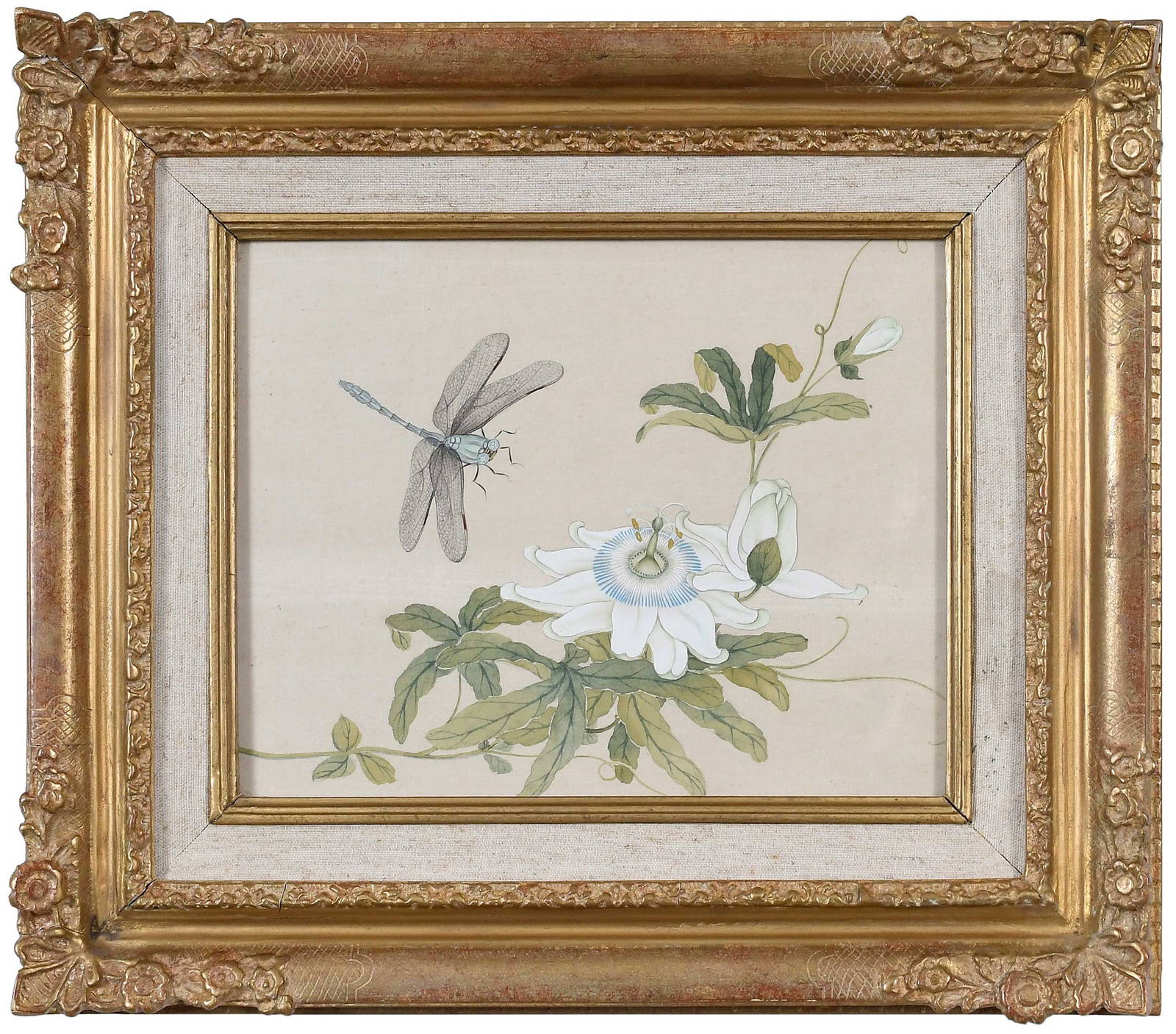 Chinese School Botanical Painting