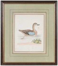 Rare John Abbot Watercolor, Chetham Library Provenance