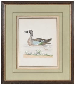 Rare John Abbot Watercolor, Chetham Library Provenance