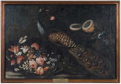 Italian School, Still Life with Peacock