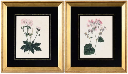 Pair of Francis and Louisa Jauncey Ketchum Watercolors