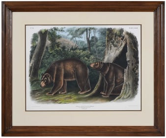 After John Woodhouse Audubon, Cinnamon Bear