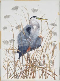Robin Hill, Great Blue Heron