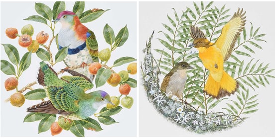 Robin Hill, Two Illustrations