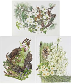 Jeanne Holgate, Three Large Watercolors