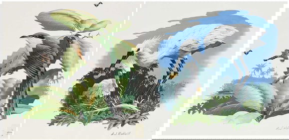 Anthony J Rudisill, Two Illustrations