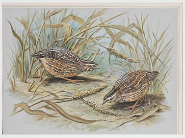 Basil Ede, Watercolor