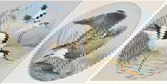 Basil Ede, Pair of Waterbird Illustrations