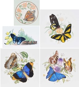 Collection of Five Butterfly Illustrations