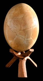 Elephant Bird Egg