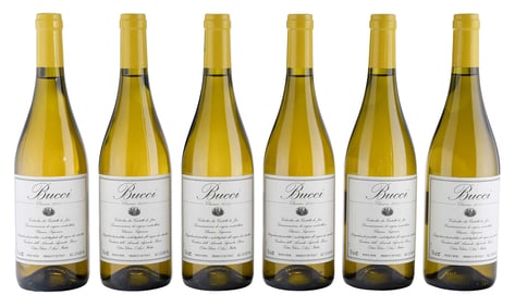 Six Bottles 2018 Villa Bucci Verdicchio dei Castelli di Jesi Classico Superiore