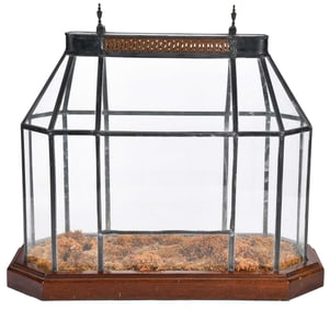 English Table Top Wardian Terrarium