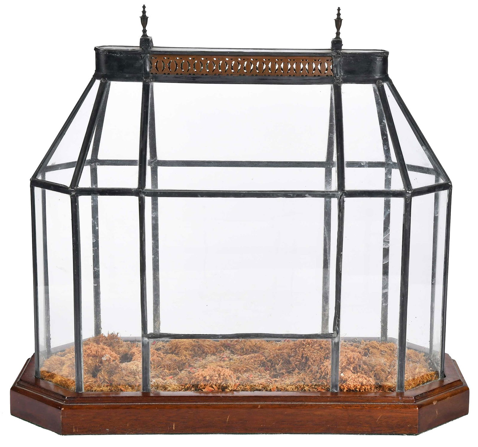 English Table Top Wardian Terrarium (1 of 8)