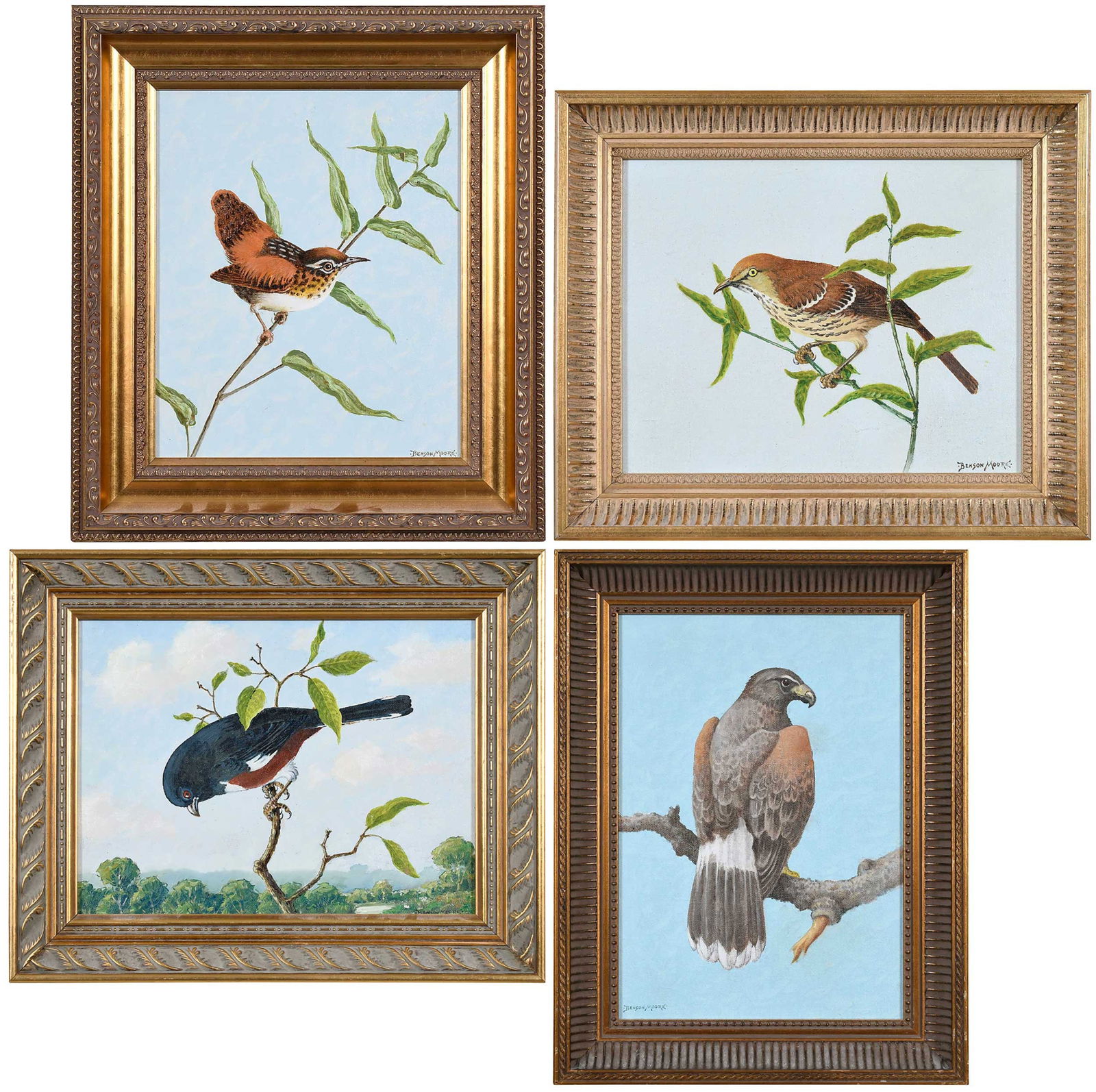 Four Benson Bond Moore Bird Paintings: (American/Virginia, 1882-1974) Four Birds: Red-eyed Towhee, Harris Hawk, Brown Thrasher, Long Billed Marsh Wren, all signed "Benson Moore", oil on board; the largest, 14 x 10 in.; each in modern gilt