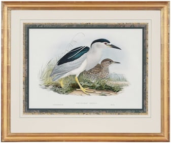 John Gould & H.C. Richter