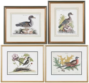 After Mark Catesby, Four Seligmann Edition Prints