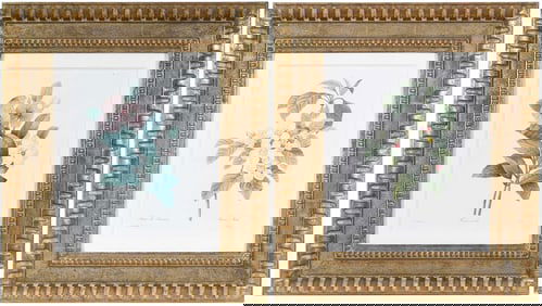 Two Pierre Joseph Redoute Engravings