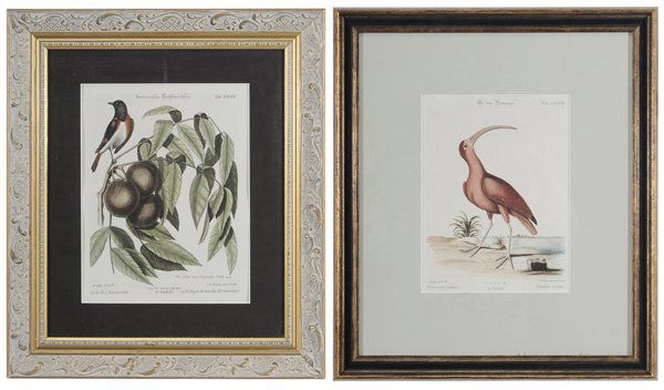 After Mark Catesby: (British, 1679-1749) [Corlieu Rouge] and [Le Rossignal de muraille de l'Amerique,] Seligmann edition of [The Natural History of Carolina, Florida and the Bahama Islands,] Nuremberg, 1749-1776, by Joha