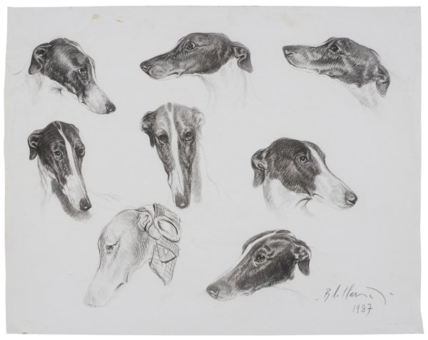 Bernard de Claviere: (French, born 1934) Study of Greyhound Heads, 1987, signed lower right "B de Claviere/1987", charcoal on paper, unframed, 28-1/4 x 36 in., handling grime, creases.