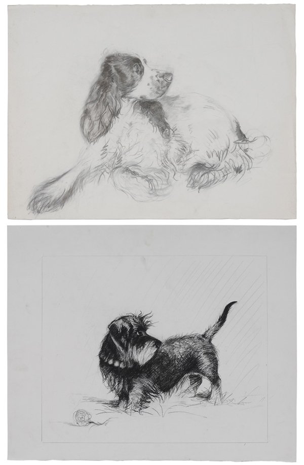 Bernard de Claviere: (French, born 1934) Two portraits of dogs: Spaniel, 22-1/4 x 29-3/4 in.; Terrier, 18-7/8 23-1/4 in., unsigned, charcoal on paper, unframed, handling grime, smudges and creases.