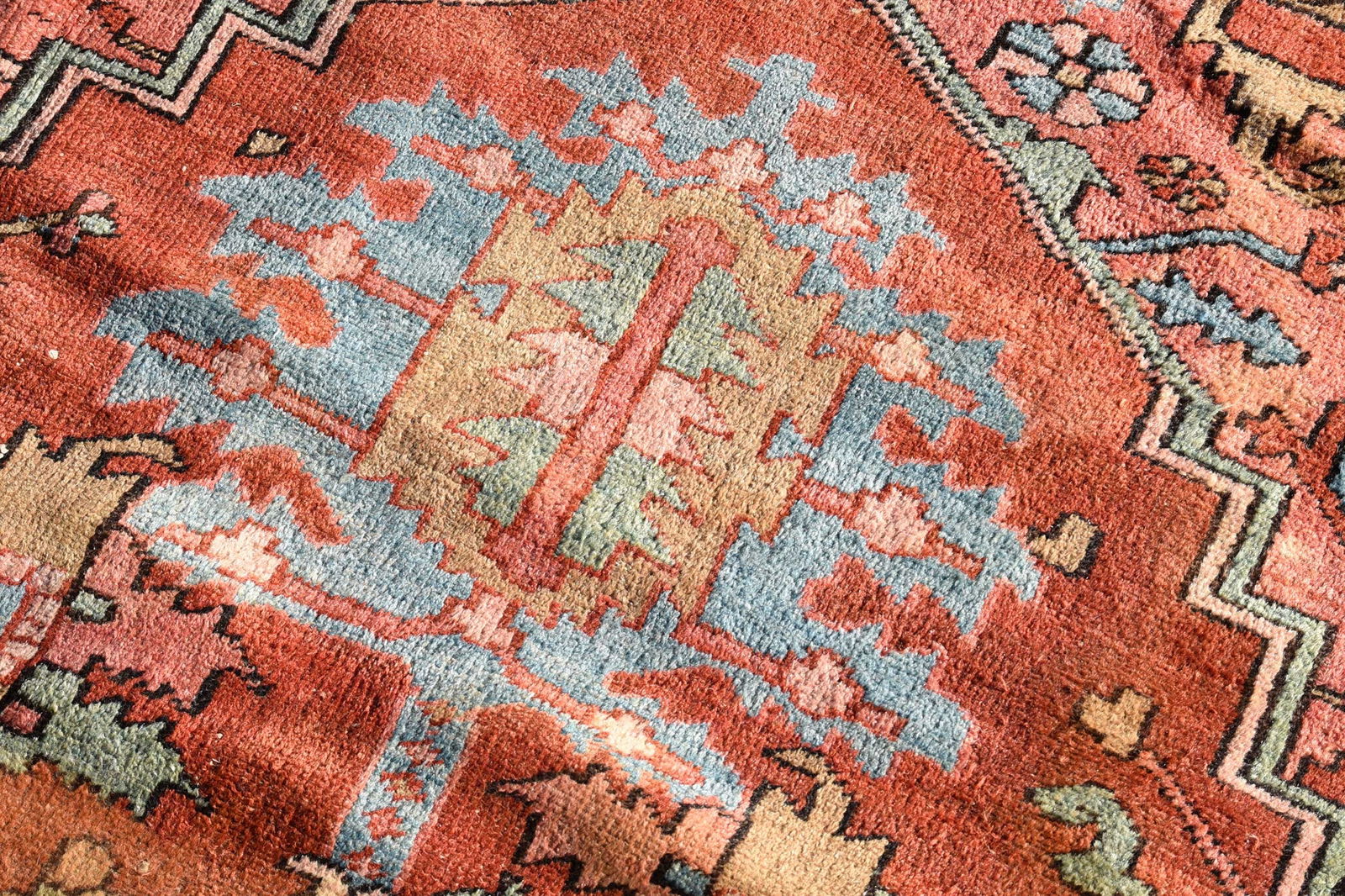 Serapi Carpet - 4