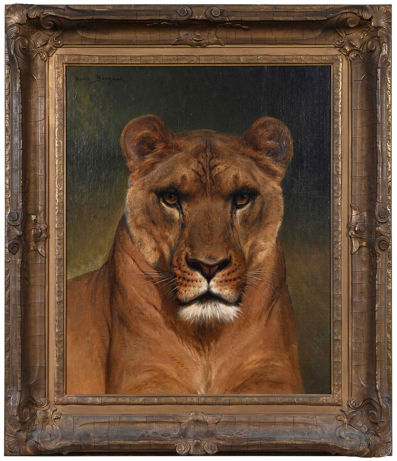 Rosa Bonheur, Tete de Lionne (1 of 14)