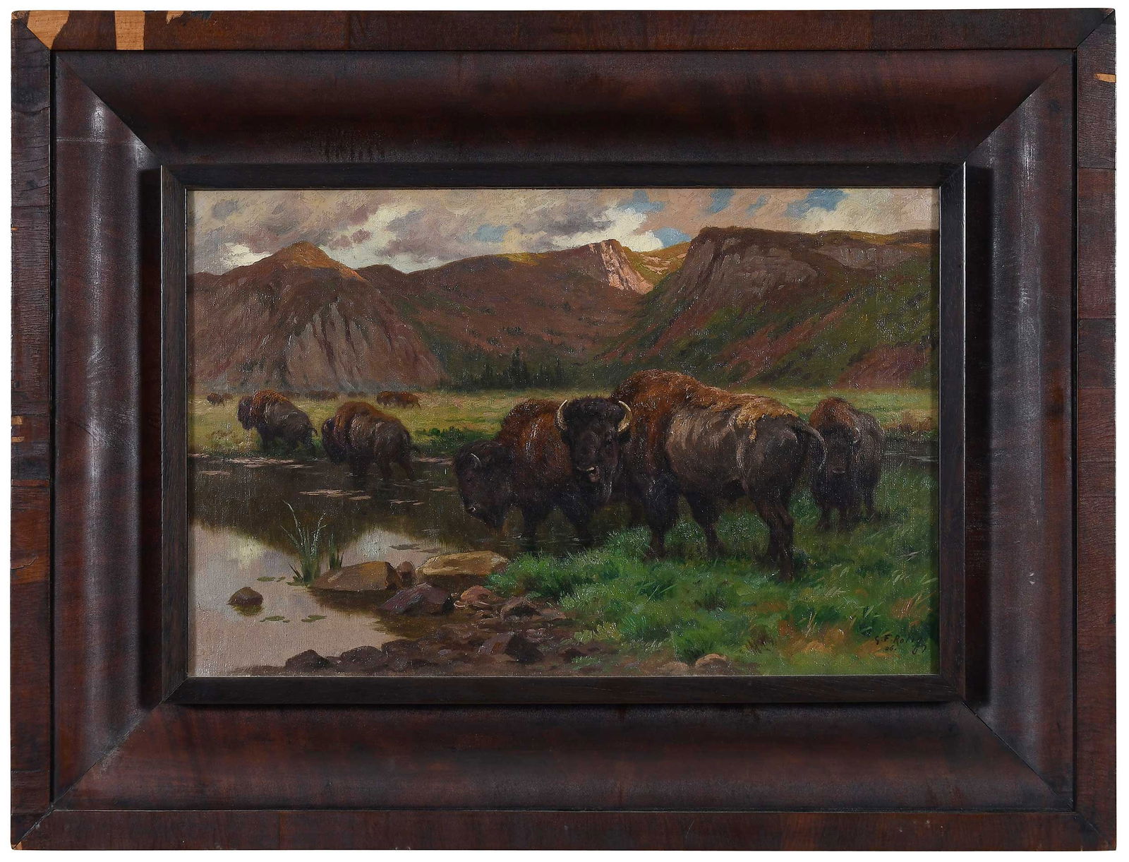 Georges Frederic Rotig, The American Bison (1 of 15)